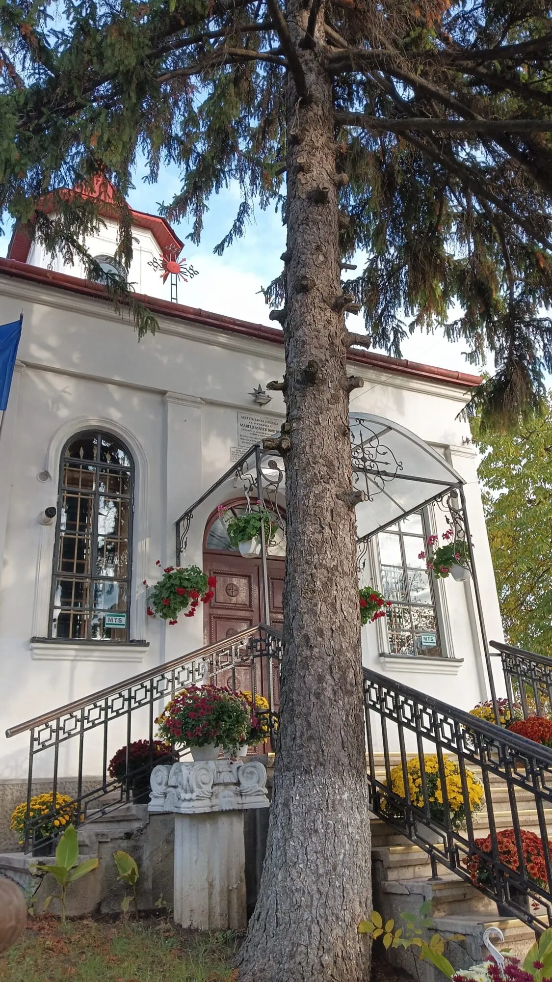 Turla bisericii, văzută de lângă bradul din curte